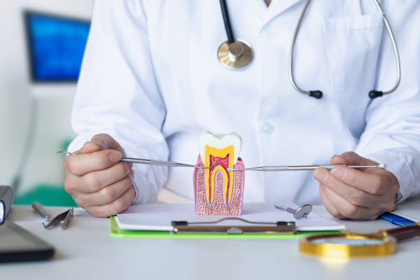 Best Emergency Root Canal Treatment in Bellerose Terrace, NY